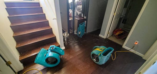 Best Emergency water damage restoration  in Hanceville, AL