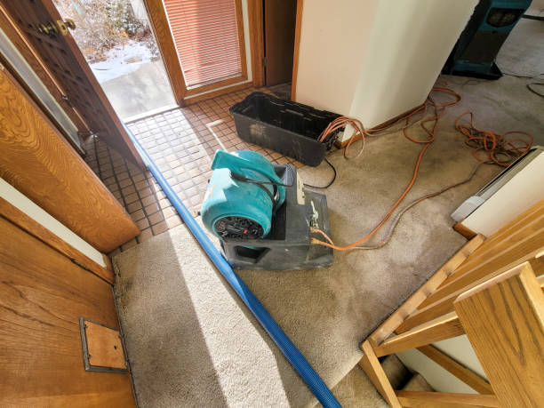 Best Local water damage restoration  in Hanceville, AL