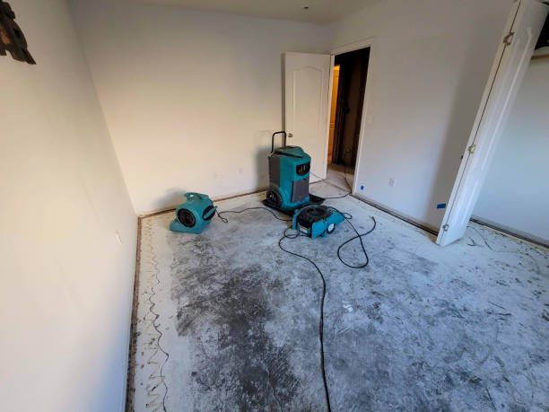 Best Professional water damage repair  in Hanceville, AL