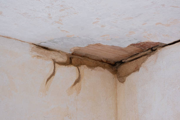 Best Residential water damage restoration  in Hanceville, AL