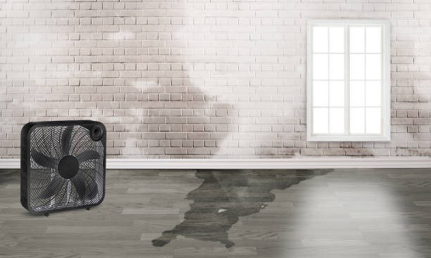 Best Residential water damage restoration  in Hanceville, AL