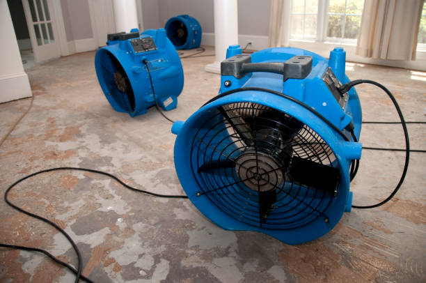 Hanceville, AL Water damage restoration Company