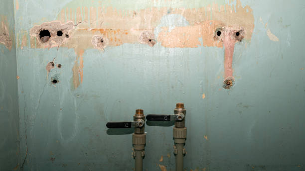 Best Local water damage restoration  in Hanceville, AL