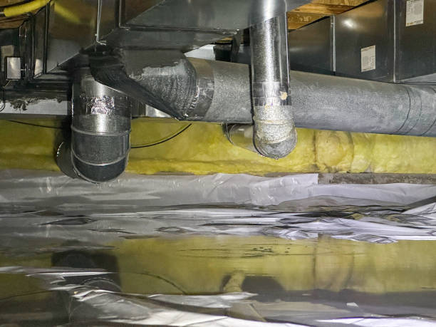 Best Sewage cleanup and water damage restoration  in Hanceville, AL