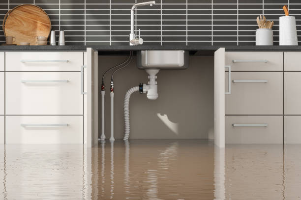 Best Ceiling water damage repair  in Hanceville, AL