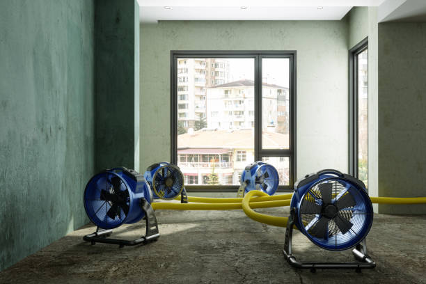 Best Water damage contractors near me  in Hanceville, AL